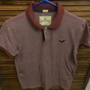 Hollister Polo Shirts